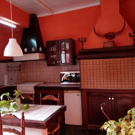Loft Green Apartament La Laguna (Tenerife)