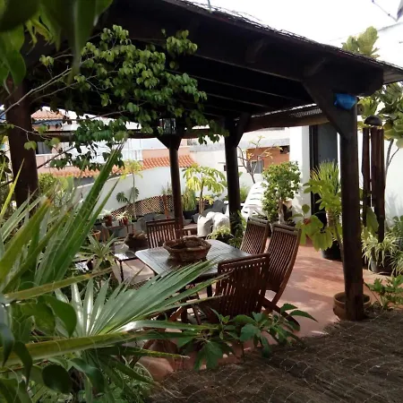 Loft Green Apartament